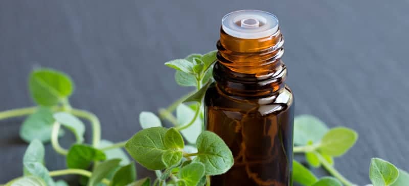 Oregano Oil Benefits for Infections, Fungus & Even the Common Cold
