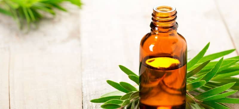 Top Tea Tree Oil Uses and Benefits